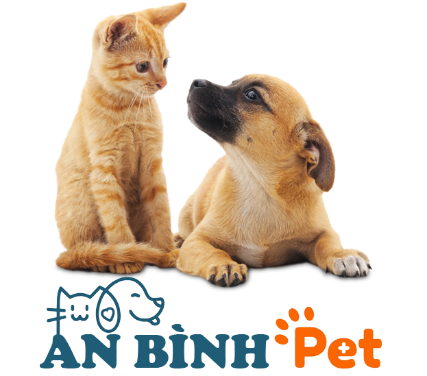 Phòng khám thú y Hà Nội - An Bình Pet